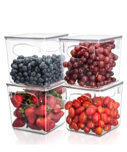 Plastic Container Bins with Lids (4 Pack)