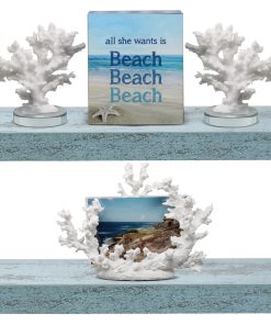Coastal Floating Shelves (2 Pack)