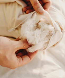 Savvy Rest Organic Kapok Pillow