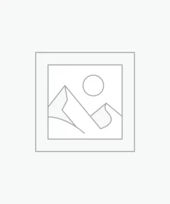 DECORATIVE PILLOW INSERTS